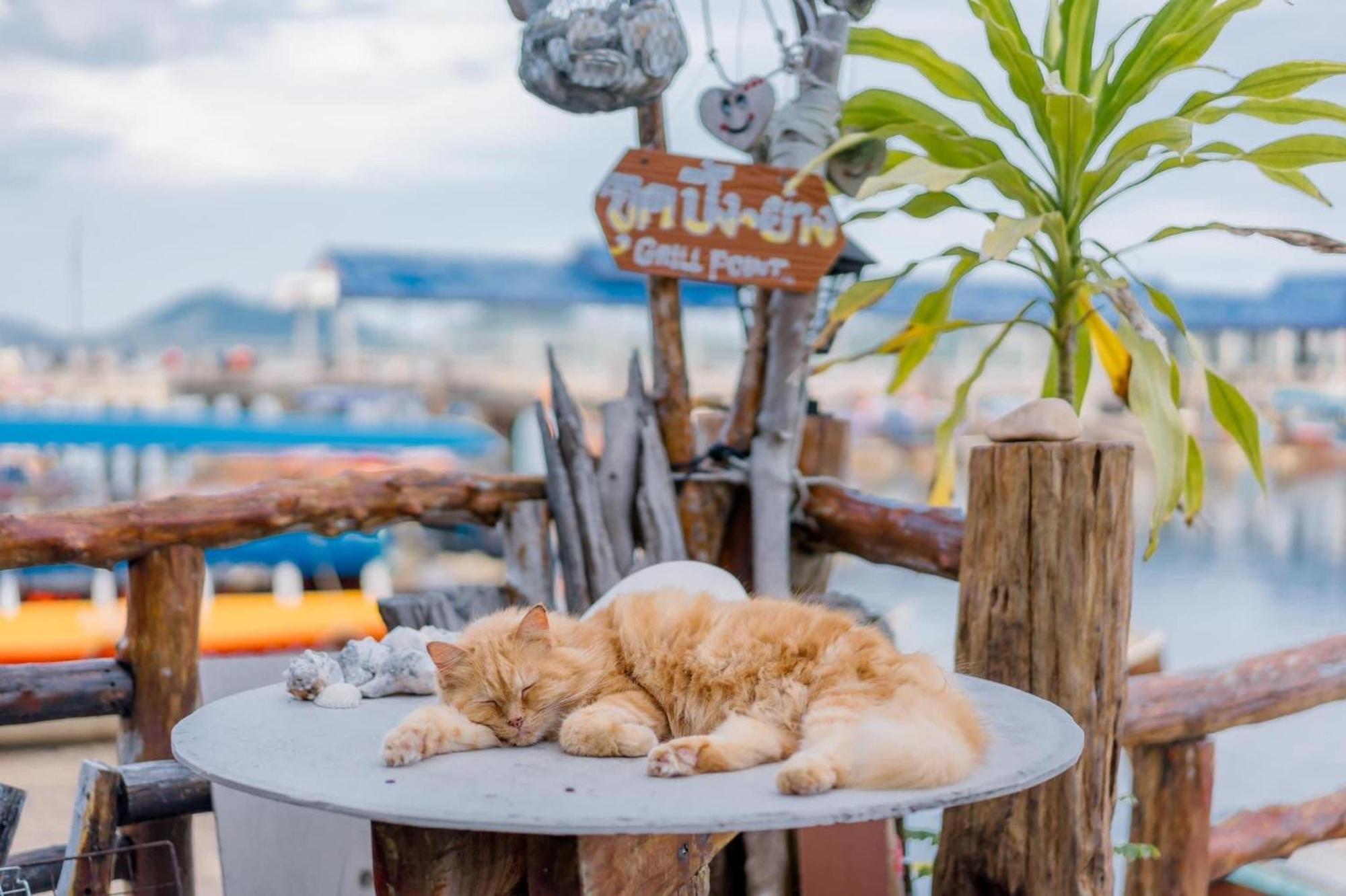 Bankruchaem Homestay Kohpu Ko Pu Dış mekan fotoğraf